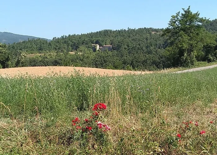 Villa Doubledot Bed & Breakfast *